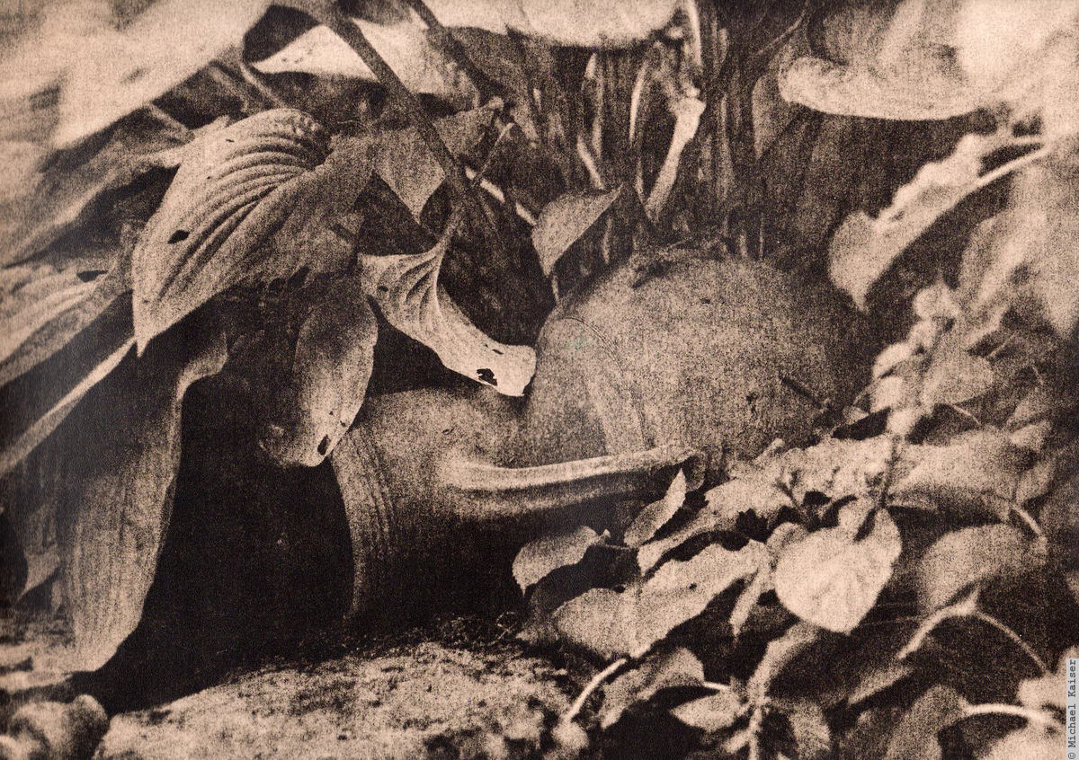 Lith-Prints
